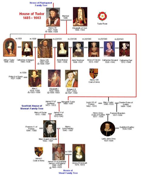 mappa dell'albero genealogico della dinastia tudor|House of Tudor Family Tree .